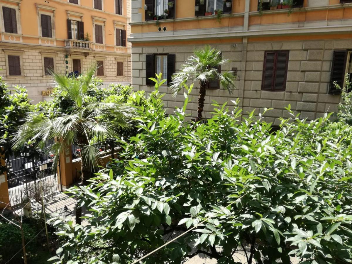 Bed and Breakfast Blue Whale Roma Exterior foto