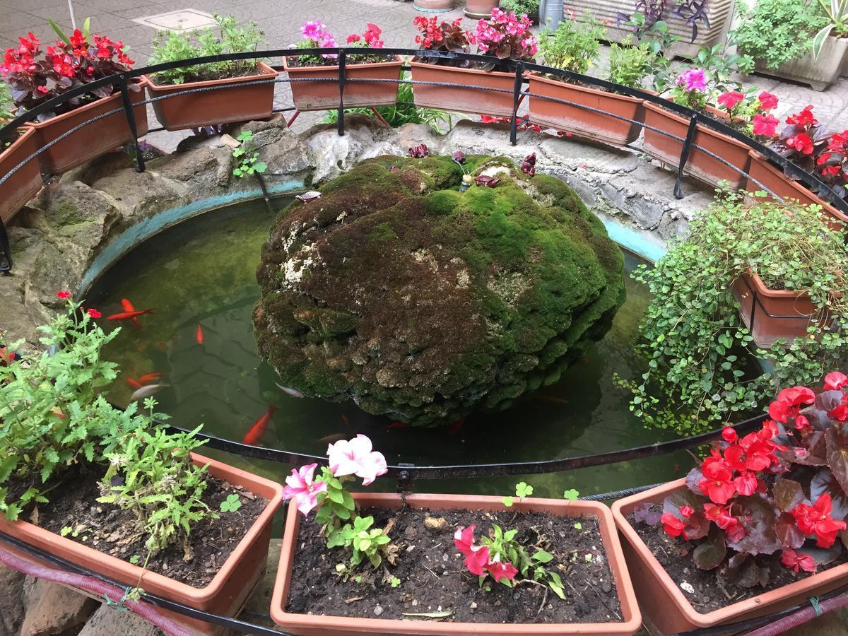 Bed and Breakfast Blue Whale Roma Exterior foto